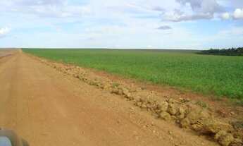 Imagem 4: Fazenda, Área Rural de Sinop, Sinop -U$$ 1.3 bi, Cod: 4088