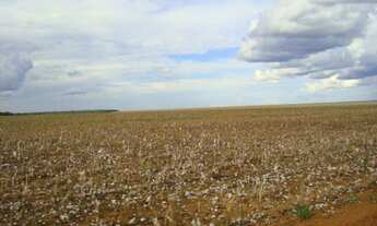 Imagem 7: Fazenda, Área Rural de Sinop, Sinop -U$$ 1.3 bi, Cod: 4088