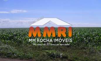 Imagem 2: Fazenda com Dupla Aptidão no Pantanal - MS