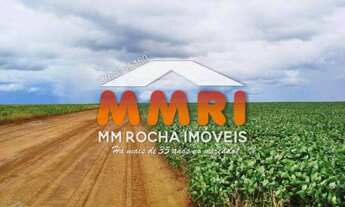 Imagem 3: Fazenda com Dupla Aptidão no Pantanal - MS