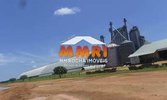 Imagem 4: Fazenda com Dupla Aptidão no Pantanal - MS