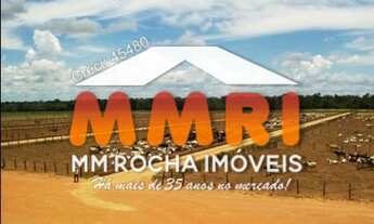 Imagem 5: Fazenda com Dupla Aptidão no Pantanal - MS