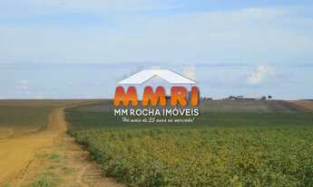 Imagem 6: Fazenda com Dupla Aptidão no Pantanal - MS