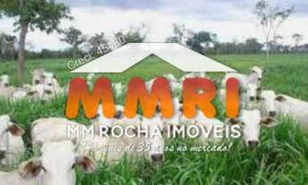 Imagem 4: Fazenda para Pecuária na região de Itapetinga/BA