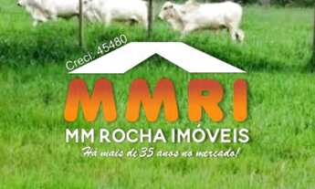 Imagem 5: Fazenda para Pecuária na região de Itapetinga/BA