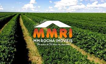 Imagem 1: Fazenda de Café com 5.143 Hectares casa c/9 dorms toada formada com varias culturas Rural