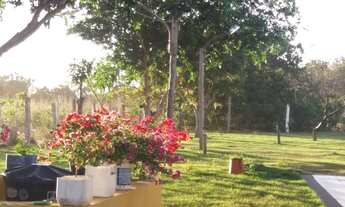 Imagem 6: Chácara, situada na Região do Distrito da Guia - Cuiabá - MT, 33 km da capital, com 2,5 he