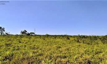 Imagem 7: Fazenda Pecuária, em N. S. livramento-MT, 75 km do Trevo do Lagarto, com área de 172,4851