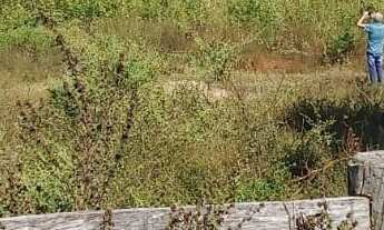 Imagem 5: Fazenda Pecuária, em N. S. livramento-MT, 75 km do Trevo do Lagarto, com área de 172,4851