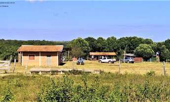 Imagem: Fazenda Pecuária, em N. S. Livramento-MT