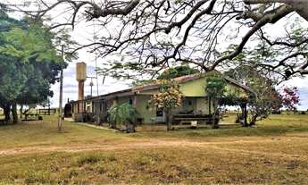 Imagem: Fazenda Dupla Aptidão em Poconé - MT