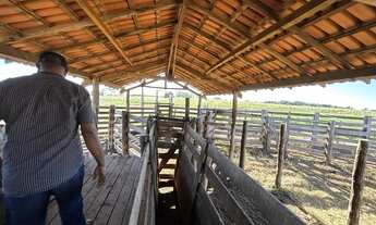 Imagem 2: Fazenda Pecuária com 2.097 ha, 50% aberta e formada, localizada em Jangada, distante 58 km