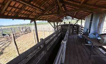 Imagem 7: Fazenda Pecuária com 2.097 ha, 50% aberta e formada, localizada em Jangada, distante 58 km