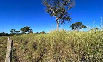 Imagem 4: Fazenda Pecuária com 2.097 ha, 50% aberta e formada, localizada em Jangada, distante 58 km