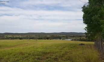 Imagem 6: Fazenda Pecuária com 2.097 ha, 50% aberta e formada, localizada em Jangada, distante 58 km