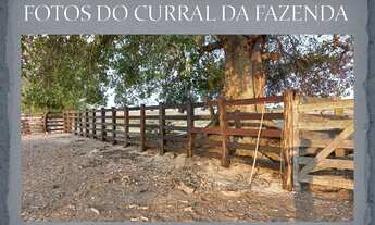 Imagem 5: Fazenda Pecuária no Pantanal de Poconé - MT, Transpantaneira, com área de 11.600 ha, 80% d