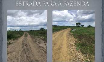 Imagem 3: Fazenda Pecuária no Pantanal de Poconé - MT, Transpantaneira, com área de 11.600 ha, 80% d
