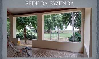 Imagem 4: Fazenda Pecuária no Pantanal de Poconé - MT, Transpantaneira, com área de 11.600 ha, 80% d