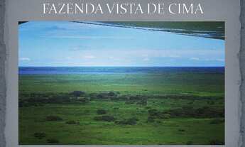 Imagem: Fazenda Pecuária no Pantanal de Poconé