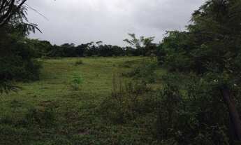 Imagem: PADRE BERNADO - GOIAS