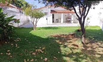 Imagem: CASA NO SETOR COIMBRA