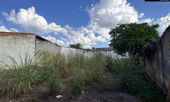 Imagem 7: LOTE NO SETOR COIMBRA