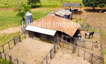 Imagem: FAZENDA COMPLETA NA BEIRA DO RIO PRETO