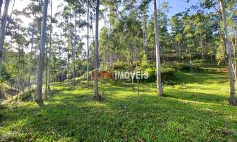 Imagem: ! CDATA TERRENO CRISTALINA, 40000M²