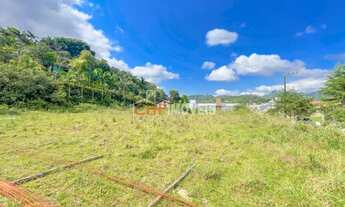 Imagem 6: TERRENO 100% PLANO E ESCRITURADO