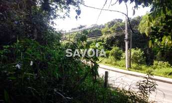 Imagem 6: ![CDATA[Terreno com 2792 m² frente para Av. Araçá e Rua Ameixa, Sertãozinho, Bombinhas, S