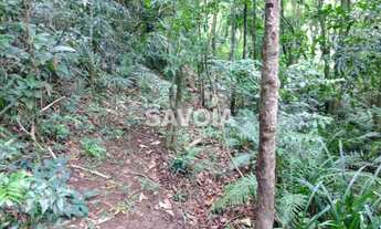 Imagem 7: ![CDATA[Terreno com 2792 m² frente para Av. Araçá e Rua Ameixa, Sertãozinho, Bombinhas, S