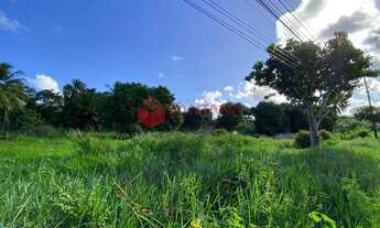 Imagem 5: Terreno para venda em Abrantes