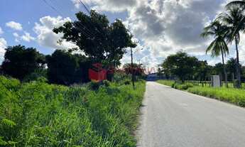 Imagem 4: Terreno para venda em Abrantes