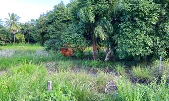 Imagem 6: Terreno para venda em Abrantes