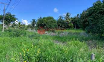 Imagem 7: Terreno para venda em Abrantes