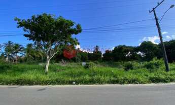 Imagem 2: Terreno para venda em Abrantes