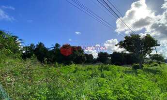 Imagem 3: Terreno para venda em Abrantes