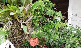 Imagem 7: ![CDATA[EDF. AQUARIUS - 04 QUARTOS - PITUBA]]