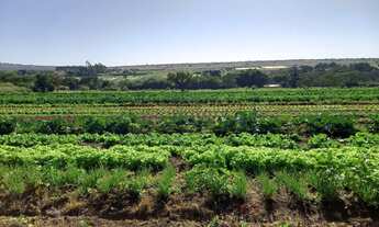 Imagem: Chácara na Rota do Cavalo Sobradinho/DF
