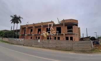 Imagem 4: Geminado Paranaguamirim