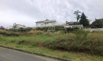 Imagem 3: ![CDATA[Terreno com escritura, no BRUSCHAL.]]