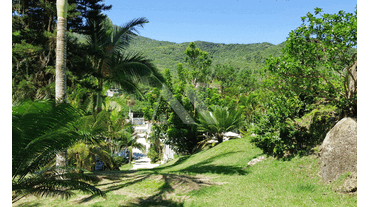 Imagem 6: ![CDATA[COD. 012 - CHÁCARA  VENDA]]