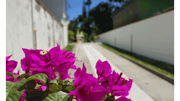 Imagem: ! CDATA COD. 012 - CHÁCARA  VENDA