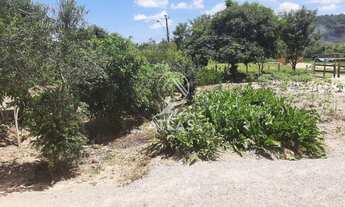 Imagem 4: ![CDATA[TERRENO COM ÓTIMA LOCALIZAÇÃO ]]