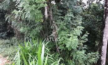 Imagem: ! CDATA TERRENO NO SOUZA CRUZ