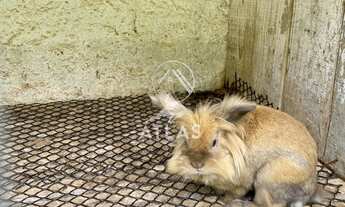 Imagem: ! CDATA UM PARAÍSO EM BRUSQUE