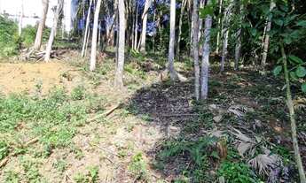 Imagem 6: Terreno Urbano em Timbó