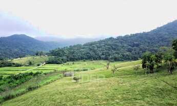 Imagem 5: Terreno com frente para BR-470