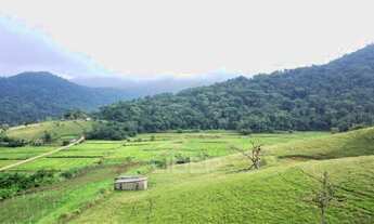 Imagem 3: Terreno com frente para BR-470