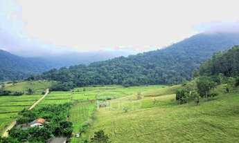 Imagem 4: Terreno com frente para BR-470